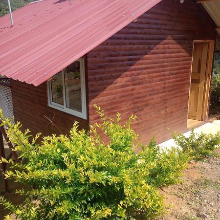 Mario'S Lodge Providencia Copey Dış mekan fotoğraf