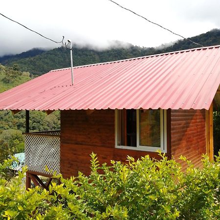 Mario'S Lodge Providencia Copey Dış mekan fotoğraf