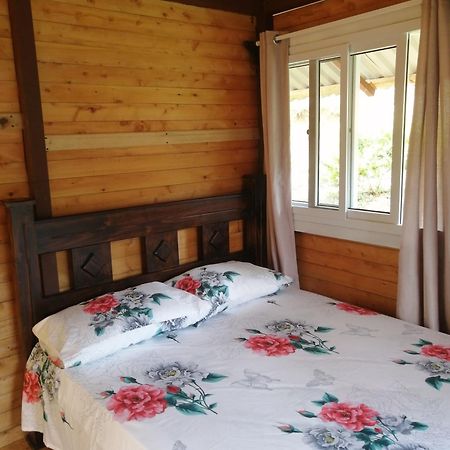 Mario'S Lodge Providencia Copey Dış mekan fotoğraf