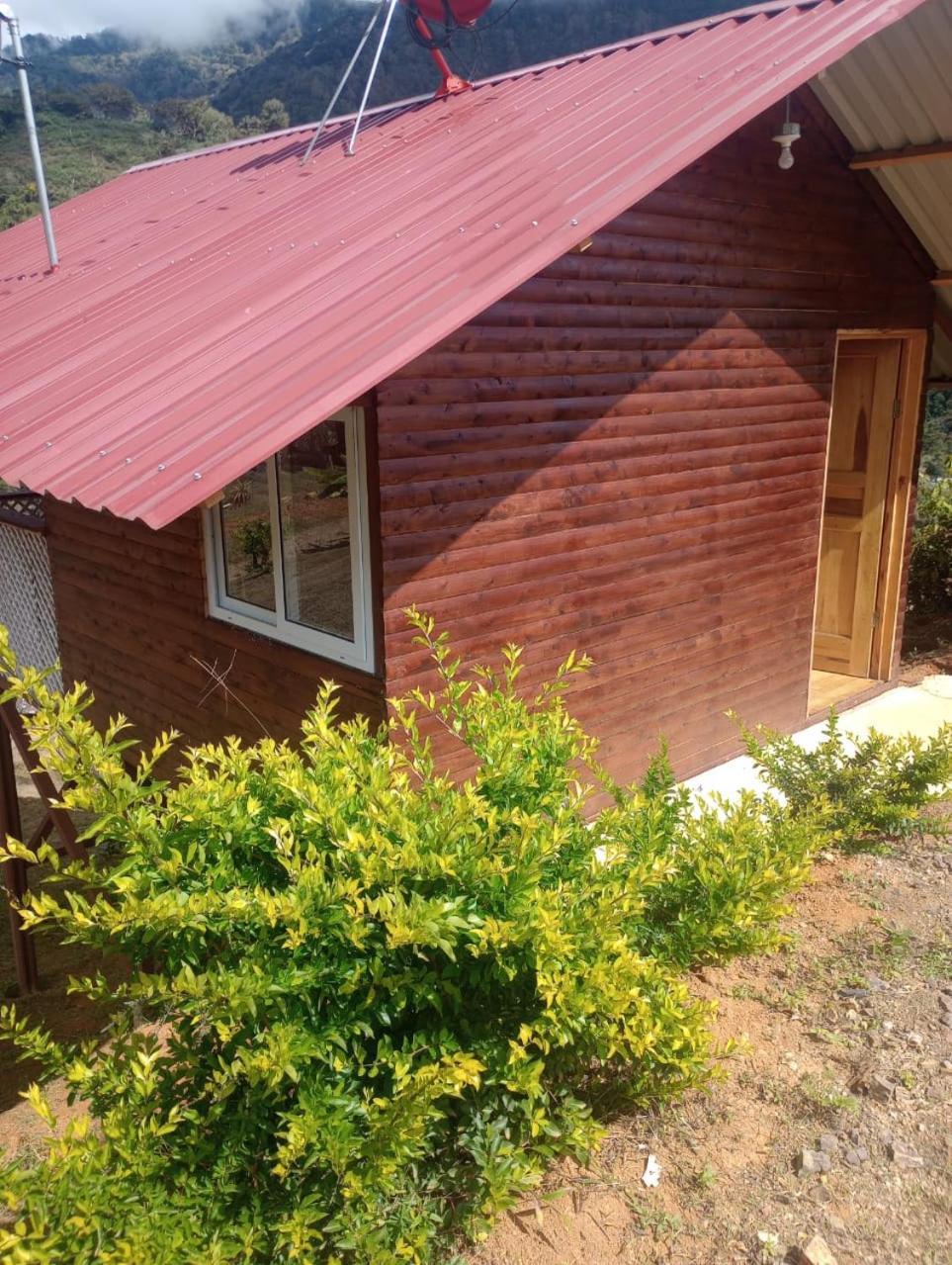 Mario'S Lodge Providencia Copey Dış mekan fotoğraf