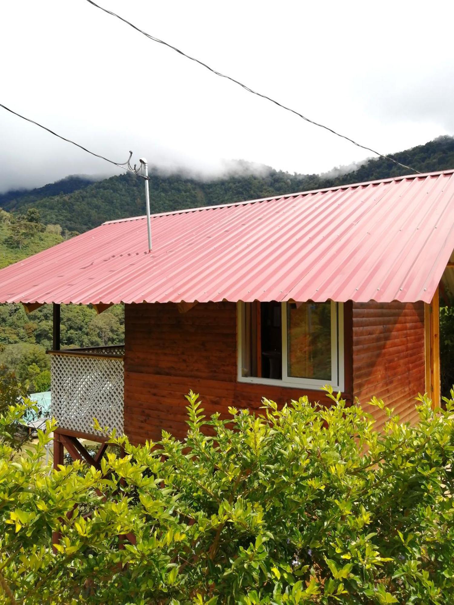 Mario'S Lodge Providencia Copey Dış mekan fotoğraf