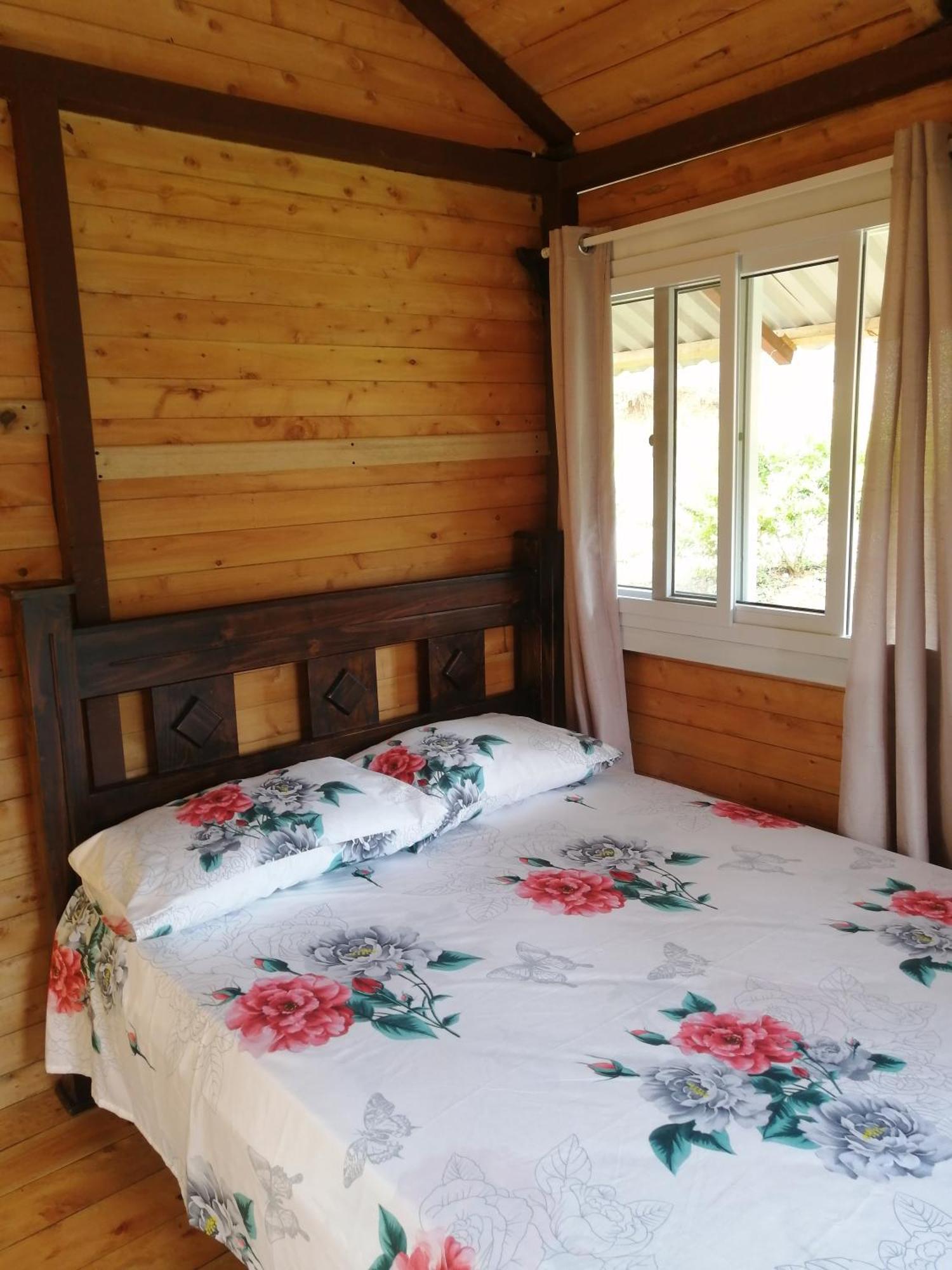 Mario'S Lodge Providencia Copey Dış mekan fotoğraf